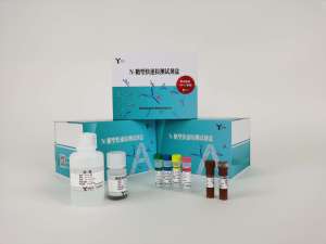 2-AB标记N-糖型快速检测试剂盒