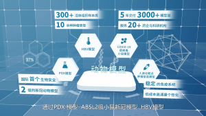 抗感染药物评价平台