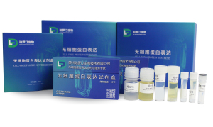 PLD无细胞蛋白表达试剂盒(标准版)