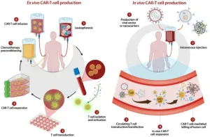 In vivo CAR-T临床前模型