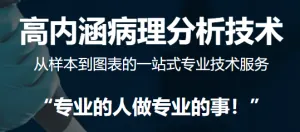 mIHC全景病理检测