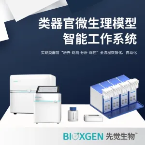 类器官微生理模型智能工作系统