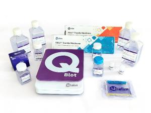 【试用】U-Blot®120min WB KT