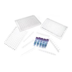 【试用】PCR 384孔板，透明，全裙边(PC) 40ul规格+1ml QPCRMIX