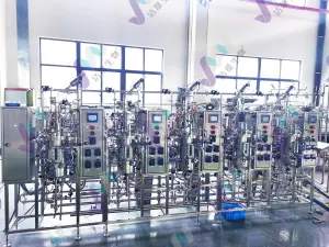 【上海BPD推荐】生物发酵系统