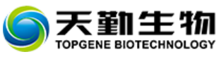 天勤生物