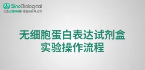 【0元试用】XPressMAX™无细胞蛋白合成试剂盒