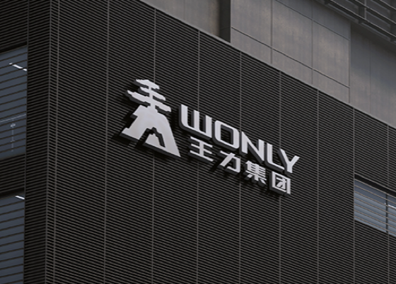 某某集团